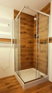 维德米内Apartament G66的木墙客房内的玻璃淋浴间