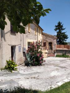 ArceviaLa casa di Mastro Ivetto的一座石头建筑,前面有粉红色的花朵
