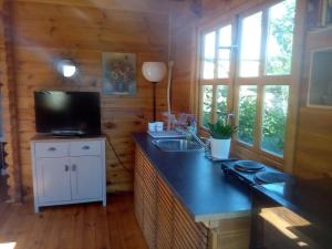 MassayAgréable chalet en bois et son extérieur的带水槽的柜台的厨房和电视