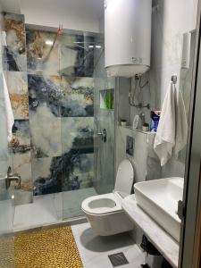 乌尔齐尼Seafront Apartments的带淋浴、卫生间和盥洗盆的浴室