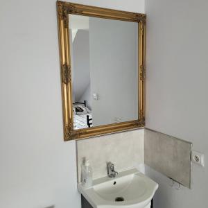 格但斯克旧城Noclegi Starogard的一间带水槽和镜子的浴室