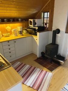 HidraBjørkely gård的一间位于客房中间的带炉灶的厨房