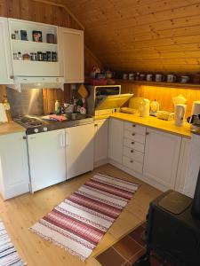 HidraBjørkely gård的厨房配有白色橱柜和地板上的地毯