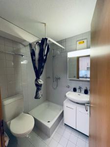 萨永Studio de vacances aux Bains de Saillon的浴室配有卫生间、盥洗盆和淋浴。