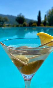 科尔托纳笆尔德立别墅酒店的一杯马提尼玻璃,上面有柠檬 ⁇ 