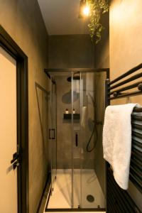 布鲁塞尔Golden Dove Luxury Aparts的浴室里设有玻璃门淋浴
