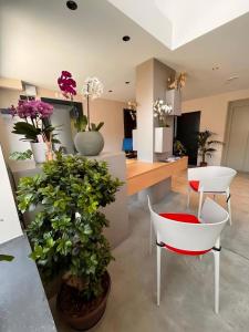卡塔尼亚Ollen apartments的一间种植了盆栽植物的房间和一张白色椅子
