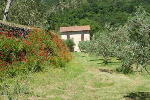 巴尼圣菲利波Podere San Biagio的一座建筑前的红花田