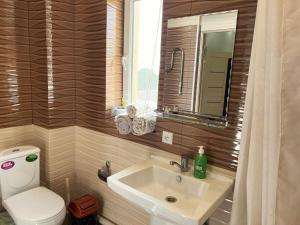 杜尚别Large modern apartment mix style的一间带水槽、卫生间和镜子的浴室