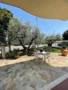 圣阿尔坎杰洛-迪罗马涅Casetta Mia - Holiday Family House的树木繁茂的庭院里设有桌椅