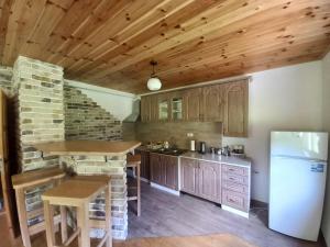 DobrilovinaVila Montana的厨房配有木制橱柜和白色冰箱。