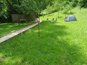 CiunganiCamping Ciungani的草场上的帐篷和一棵树