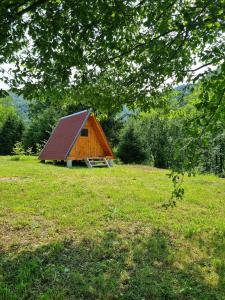 托尔明GLAMPING HOUSE ˇVITAˇ的草场上的小木屋