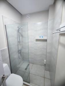 谢赫维蒂利Home Shekvetili的浴室设有玻璃淋浴间和卫生间