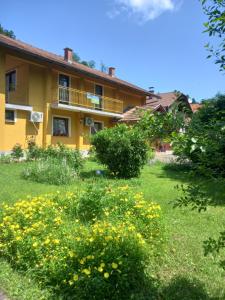 Sobe dujakovic的院子里黄色的花房