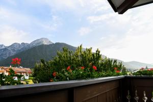 多比亚科Guesthouse Rosengarten的阳台享有山脉和鲜花的景致。