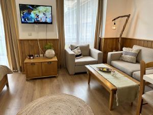 拉兹洛格Pirin Golf & Spa Greenside Studio的客厅配有沙发和墙上的电视
