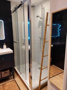 图尔Appartement 65 m² avec piscine.的浴室里设有玻璃门淋浴