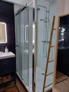 图尔Appartement 65 m² avec piscine.的浴室设有玻璃淋浴间和梯子