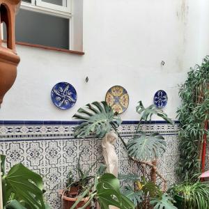 普韦布洛·纽沃·德·加德Sotel Valle Guadiaro的墙上有蓝色的板子和植物