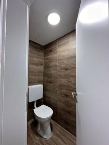 皮茨河谷阿兹尔Apartment Ana的一间带卫生间和木墙的浴室