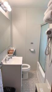 尼亚加拉瀑布福尔斯汽车旅馆的浴室配有卫生间、盥洗盆和淋浴。