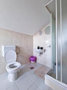 诺瓦利娅Vila Cicovac的浴室配有卫生间、淋浴和盥洗盆。