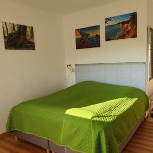 洛默Ferienwohnungen Rügen-Glück的卧室配有绿色棉被