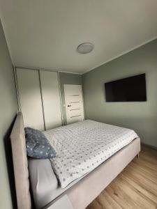 比得哥什Apartament w Parku nad Kanałem的一间卧室配有一张床和一台平面电视
