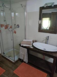 奥斯塔Maison du Mont的带淋浴、盥洗盆和镜子的浴室
