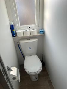 勒格罗-迪鲁瓦Mobile home camping的浴室设有卫生间,配有三卷卫生纸