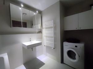 布拉迪斯拉发Cozy 2 rooms flat - Castle view的一间带水槽和洗衣机的浴室