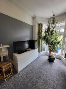 托基Aremo Room 1的客厅配有平面电视和植物