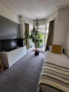 托基Aremo Room 1的一间卧室配有床、电视和植物