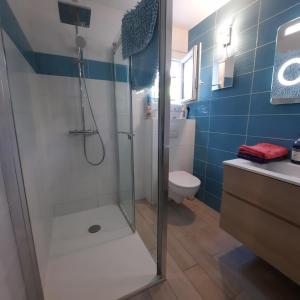 TresservesLe Lac的带淋浴和卫生间的浴室以及蓝色瓷砖。