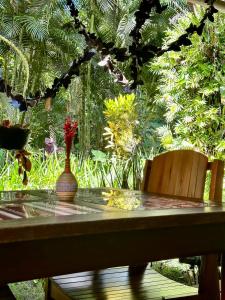 伊尔哈德博伊巴Pousada Horizonte Azul的一张桌子,上面有一个花瓶