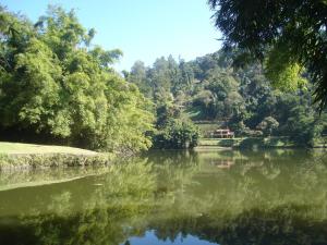 伊泰帕瓦Terracota Hotel的享有树木背景的河流美景