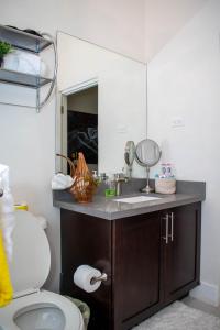 BoscobelKing Bed Studio/Gated/Fast Wi-Fi/Near Ocho Rios的一间带水槽、卫生间和镜子的浴室