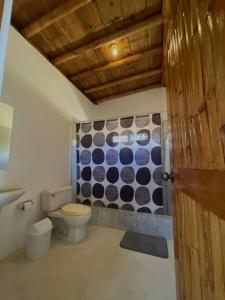 洛斯拉甘斯La Casita de Gael的一间带卫生间和瓷砖墙的浴室