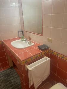 Parrot HallThe Victory Villa的一间带水槽、镜子和毛巾的浴室