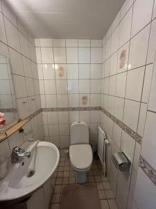 哥德堡Grand villa with great location!的一间带卫生间和水槽的小浴室
