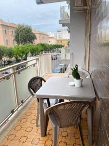 塔兰托affittacamere San Michele的仙人掌阳台的桌椅