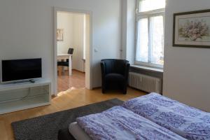 巴登-巴登菲林沃巴登巴登公寓的一间卧室配有一张床和一台平面电视