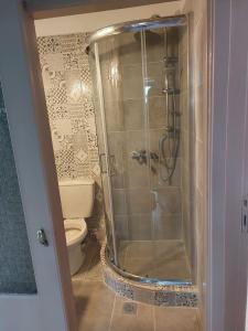 约阿尼纳Persefoni's Home的带淋浴和卫生间的浴室
