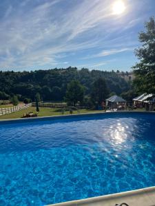 布泽乌河畔恩托尔苏拉Casa Bradet的大型蓝色游泳池,享有山景