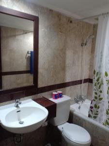 塞米亚克Kun's Stay Private Apartments的一间带水槽、卫生间和镜子的浴室