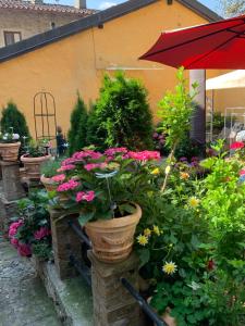 洛迦诺Ferienhaus, Rustico Auf Burg的一座花园,在一座建筑前种有盆栽植物和花卉