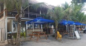 邦劳birdwatchers beachfront hotel panglao的餐厅设有桌子和蓝伞,并种植了棕榈树。