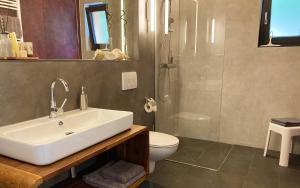 特劳恩施泰因TS公寓的一间带水槽、卫生间和淋浴的浴室