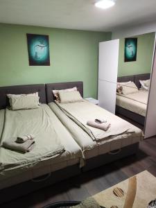 弗拉涅Snezana home的一间卧室配有两张带毛巾的床